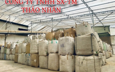 Thị trường viên nén trấu 2025