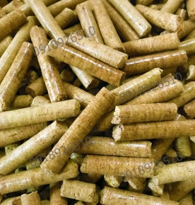 Trấu viên