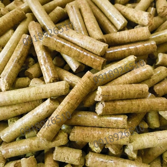 Trấu viên